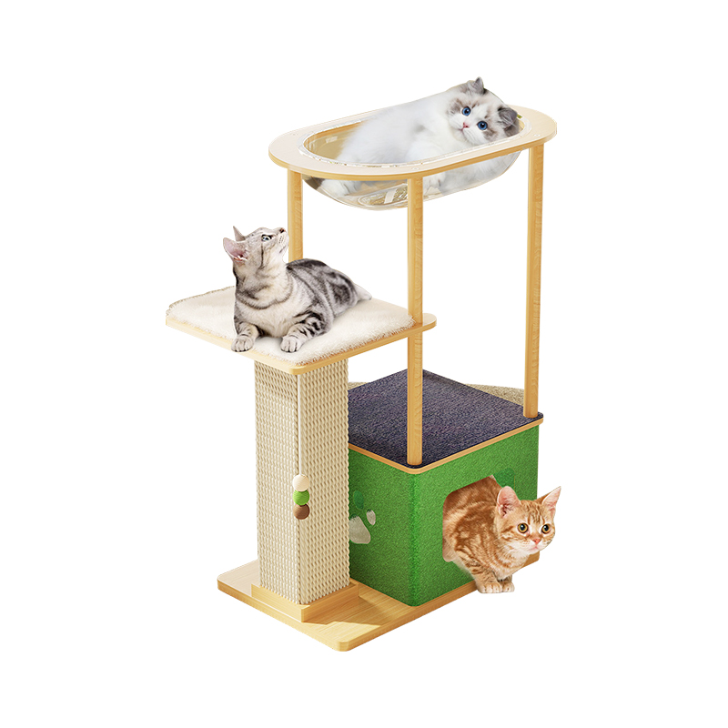 Evcilik oynayan kedi kapalı tırmanma çerçevesi