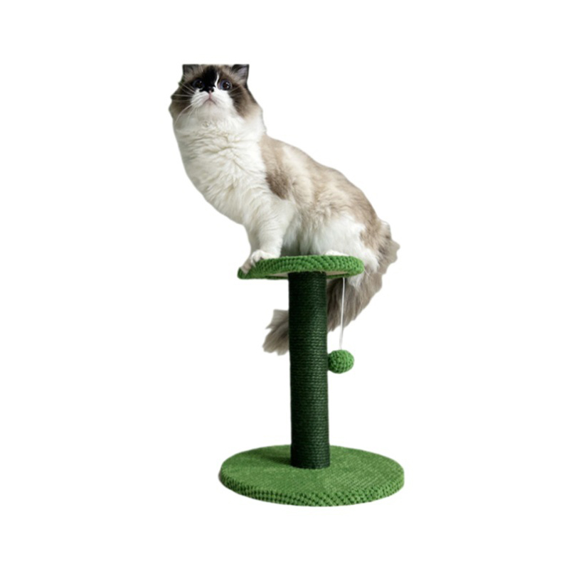 Ahşap kedi tırmanma platformu